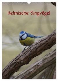 Produktbild: Heimische Singv&ouml;gel (Wandkalender 2026 DIN A3 hoch), CALVENDO Monatskalender