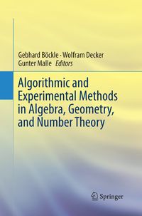 Produktbild: Algorithmic and Experimental Methods in Algebra, Geometry, and Number Theory
