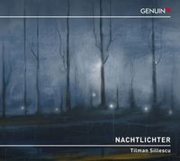 Produktbild: Nachtlichter-Sinfonie 1