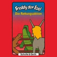 Produktbild: 13: Die Rettungsaktion
