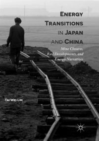 Produktbild: Energy Transitions in Japan and China