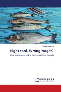 Produktbild: Right tool, Wrong target?