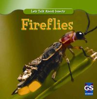 Bild vom Artikel Incredible Fireflies vom Autor Susan Ashley