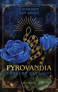 Produktbild: Pyrovandia - Erwecke das Licht