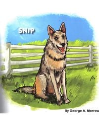 Produktbild: Snip (The Farm Series, #5)