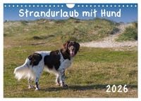 Produktbild: Strandurlaub mit Hund (Wandkalender 2026 DIN A4 quer), CALVENDO Monatskalender