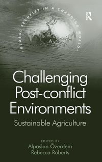 Produktbild: Challenging Post-conflict Environments