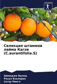 Produktbild: Selekciq shtammow lajma Kagzi (C.aurantifolia.S)