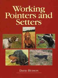 Produktbild: Working Pointers & Setters