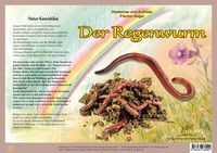 Produktbild: Natur-Kamishibai / Natur-Kamishibai - Der Regenwurm