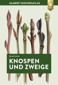 Bild vom Artikel Knospen und Zweige vom Autor Bernd Schulz