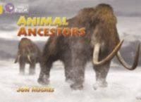 Produktbild: Animal Ancestors
