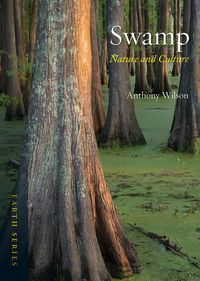 Produktbild: Swamp