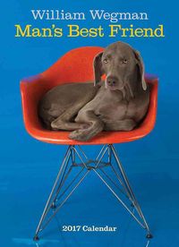 Produktbild: Wegman, W: William Wegman Man's Best Friend