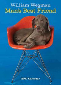 Produktbild: William Wegman Man's Best Friend 2017 Wall Calendar