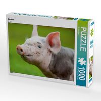 Produktbild: Schwein (Puzzle)