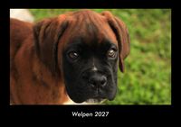 Produktbild: Welpen 2027 Fotokalender DIN A3
