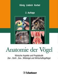 Produktbild: Anatomie der V&ouml;gel