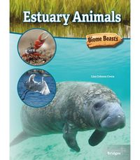 Produktbild: Estuary Animals
