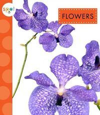 Produktbild: Flowers
