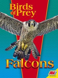 Produktbild: Falcons