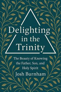 Produktbild: Delighting in the Trinity: The Beauty of Knowing the Father, Son, and Holy Spirit