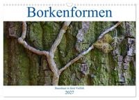 Produktbild: Borkenformen (Wandkalender 2027 DIN A3 quer), CALVENDO Monatskalender