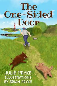Produktbild: The One-Sided Door