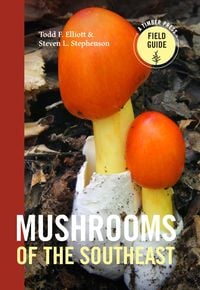 Produktbild: Mushrooms of the Southeast