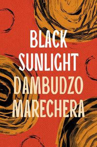 Produktbild: Marechera, D: Black Sunlight