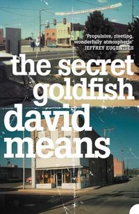 Produktbild: Means, D: The Secret Goldfish