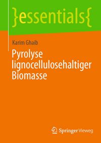 Produktbild: Pyrolyse lignocellulosehaltiger Biomasse