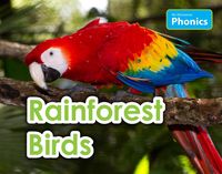 Produktbild: Rainforest Birds