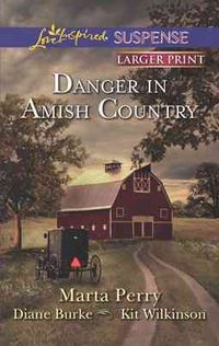 Produktbild: Danger in Amish Country: Fall from Grace\Dangerous Homecoming\Return to Willow Trace