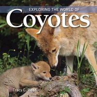 Produktbild: Exploring the World of Coyotes