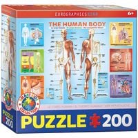 Bild vom Artikel Eurographics 6200-1000 - Der menschliche Körper , Puzzle, 200 Teile vom Autor 