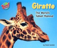 Produktbild: Giraffe