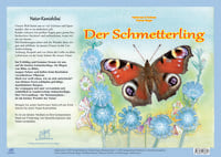 Produktbild: Natur-Kamishibai / Natur-Kamishibai - Der Schmetterling