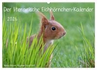Produktbild: Der literarische Eichh&ouml;rnchen-Kalender (Wandkalender 2026 DIN A2 quer), CALVENDO Monatskalender