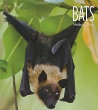 Produktbild: Bats
