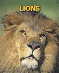 Produktbild: Lions