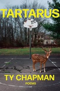 Produktbild: Tartarus