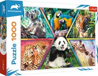 Trefl - Puzzle - Königreich der Tiere, 1000 Teile