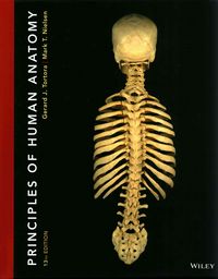 Produktbild: Tortora, G: Principles of Human Anatomy