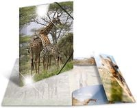 Produktbild: Herma Sammelmappe A4 Tiere - Giraffe