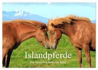 Produktbild: Islandpferde - Die tierischen Stars der Insel (Wandkalender 2027 DIN A3 quer), CALVENDO Monatskalender