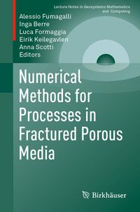 Produktbild: Numerical Methods for Processes in Fractured Porous Media