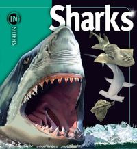 Produktbild: Sharks