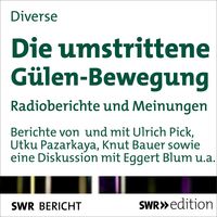 Produktbild: Die umstrittene G&uuml;len-Bewegung
