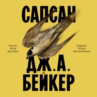 Produktbild: Sapsan
